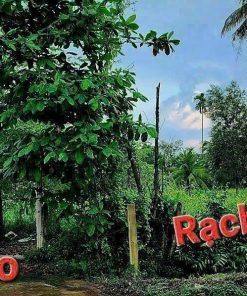 ĐẤT Giáp rạch - CƠ HỘI VÀNG ĐẦU TƯ & NGHỈ DƯỠNG TẠI CHÁNH MỸ. Diện tích lớn: 3.875m² (thổ cư 450m²)
